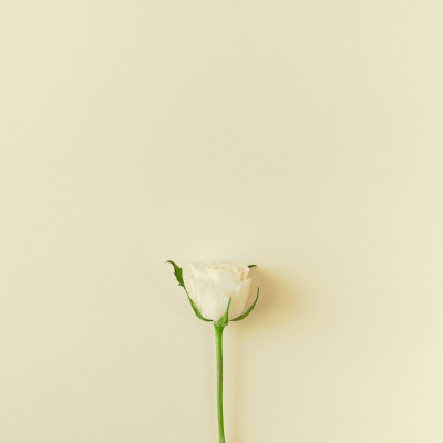 [object Object] undefined
