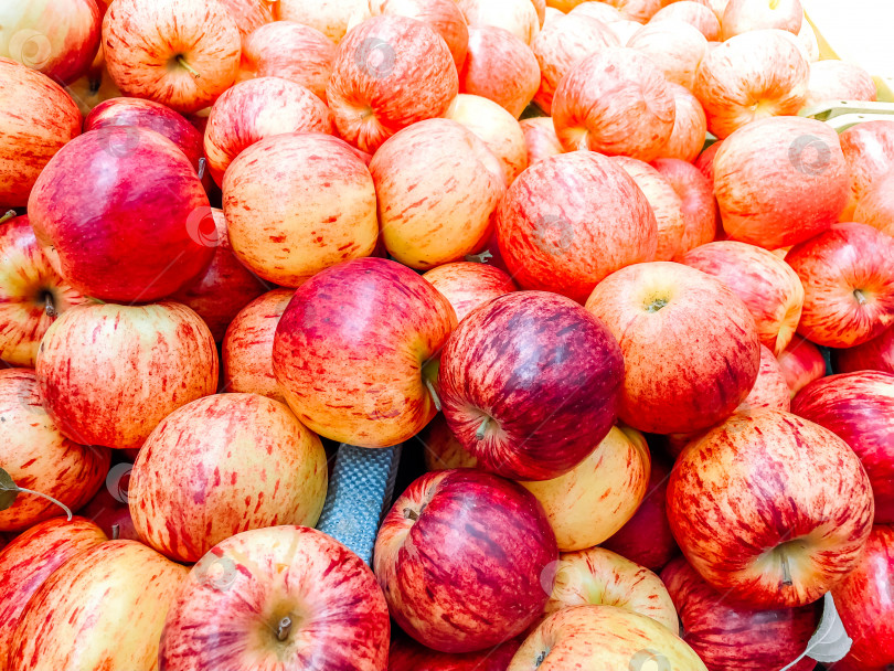 Скачать Красные летние яблоки продаются в супермаркете фотосток Ozero