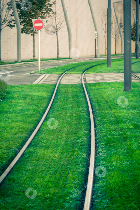 Скачать Трамвайные рельсы, покрытые зеленой травой фотосток Ozero