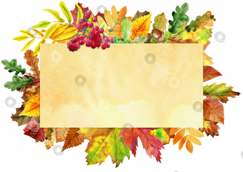 Скачать Бежевый баннер с разноцветными падающими осенними листьями фотосток Ozero