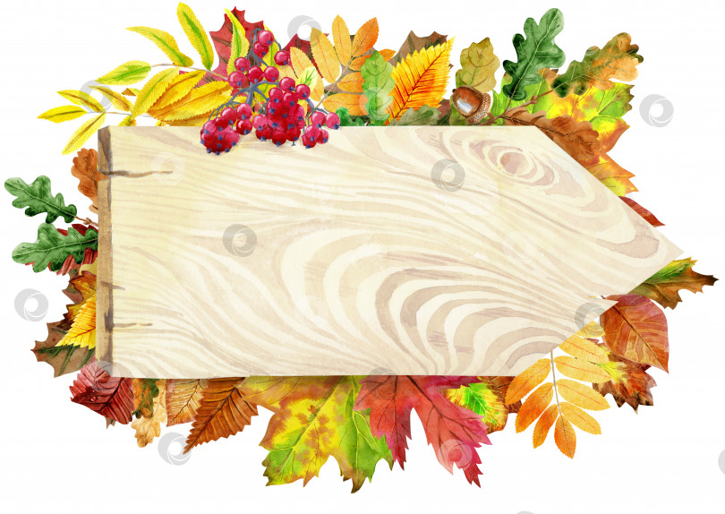 Скачать Деревянная указка с разноцветными падающими осенними листьями. Акварельная иллюстрация фотосток Ozero