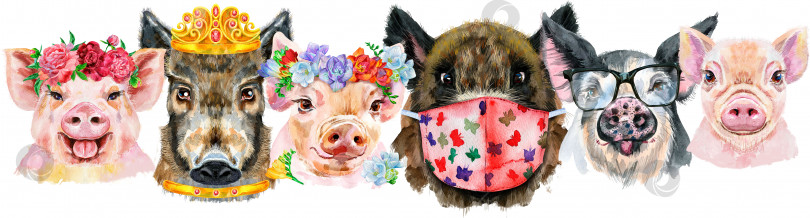 Скачать Бордюр из свиней. Акварельные портреты свиней и хряков фотосток Ozero