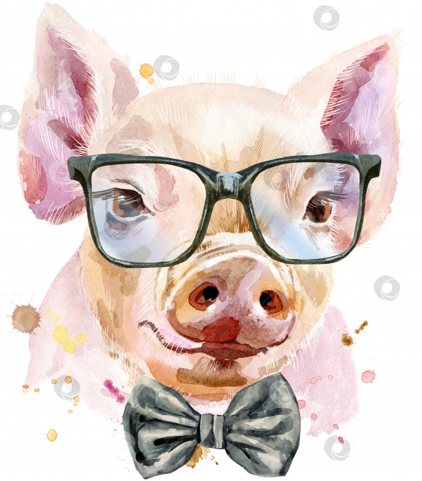 Скачать Акварельный портрет свиньи в галстуке-бабочке и очках фотосток Ozero