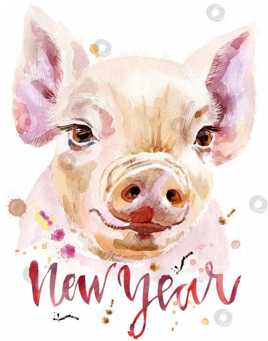 Скачать Акварельный портрет мини-свинки с надписью "Новый год" фотосток Ozero