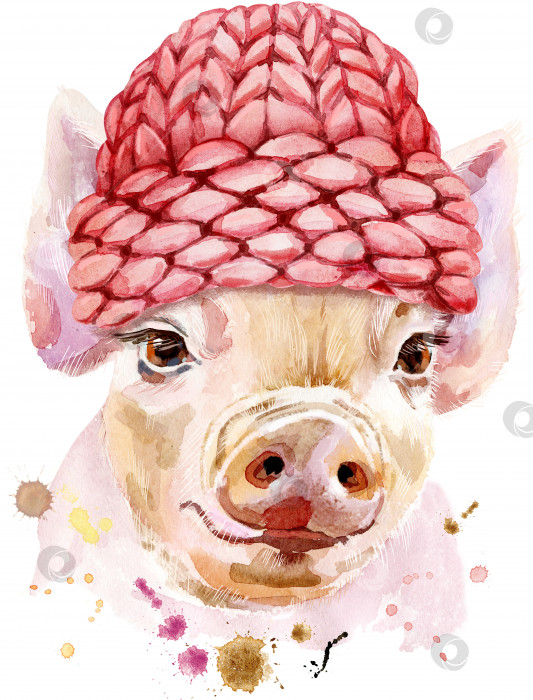Скачать Акварельный портрет мини-свинки в вязаной шапочке фотосток Ozero