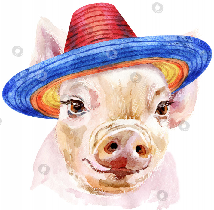 Скачать Акварельный портрет мини-свинки в шляпе-сомбреро фотосток Ozero