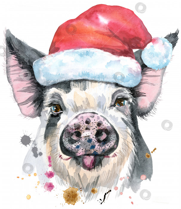 Скачать Акварельный портрет свиньи в шляпе Санты фотосток Ozero