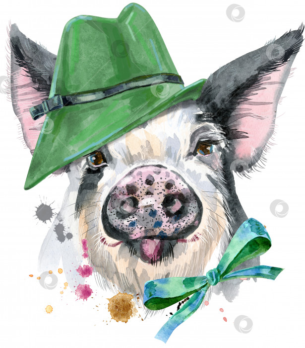 Скачать Акварельный портрет свиньи в зеленой шляпе фотосток Ozero