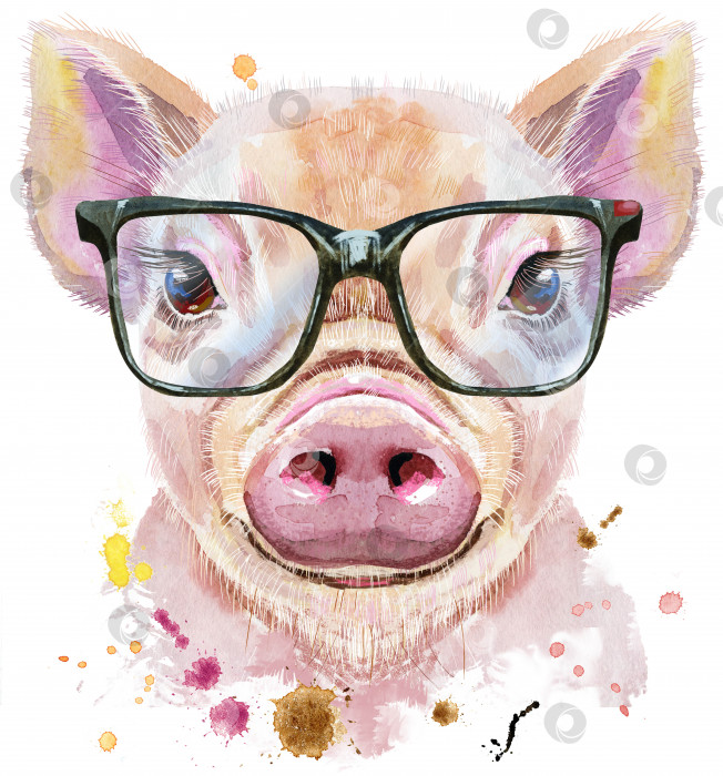 Скачать Акварельный портрет мини-свинки в очках фотосток Ozero