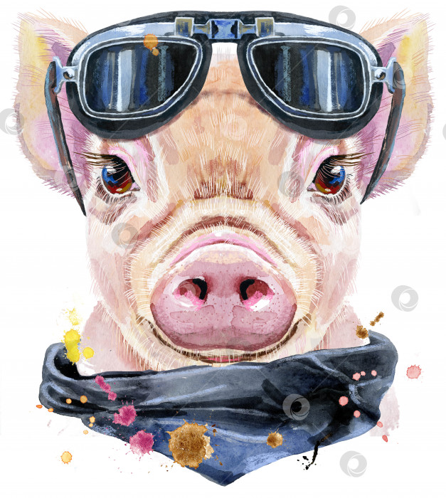 Скачать Акварельный портрет байкера в солнцезащитных очках mini pig фотосток Ozero