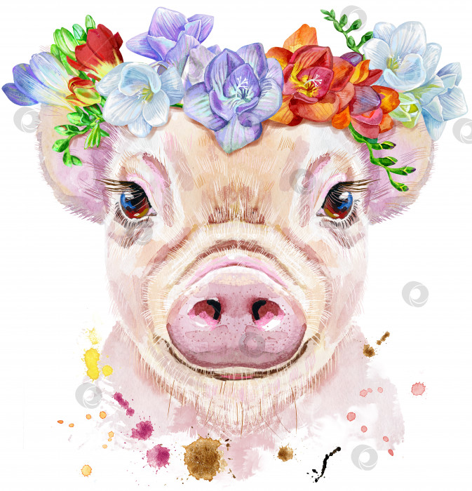 Скачать Акварельный портрет мини-свинки в венке из фрезий фотосток Ozero