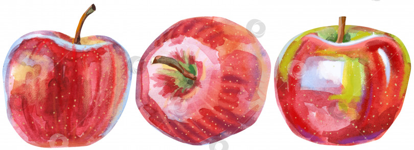 Скачать Набор акварельных красных спелых яблок на белом фоне фотосток Ozero