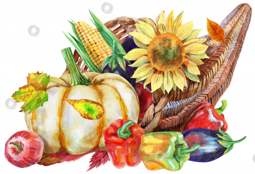 Скачать Акварельный рог изобилия, наполненный овощами и фруктами на белом фоне фотосток Ozero
