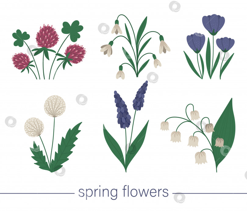 Скачать Векторный набор симпатичных плоских весенних цветов. Иллюстрация первых цветущих растений. Коллекция цветочных клипартов, выделенных на белом фоне. фотосток Ozero