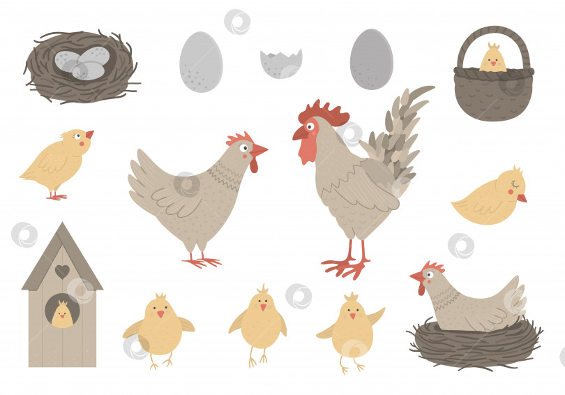 Скачать Векторный набор милых забавных куриц и петуха с маленькими цыплятами, яйцами, гнездом. Забавная иллюстрация к весне или Пасхе. Коллекция элементов дизайна для христианского праздника фотосток Ozero