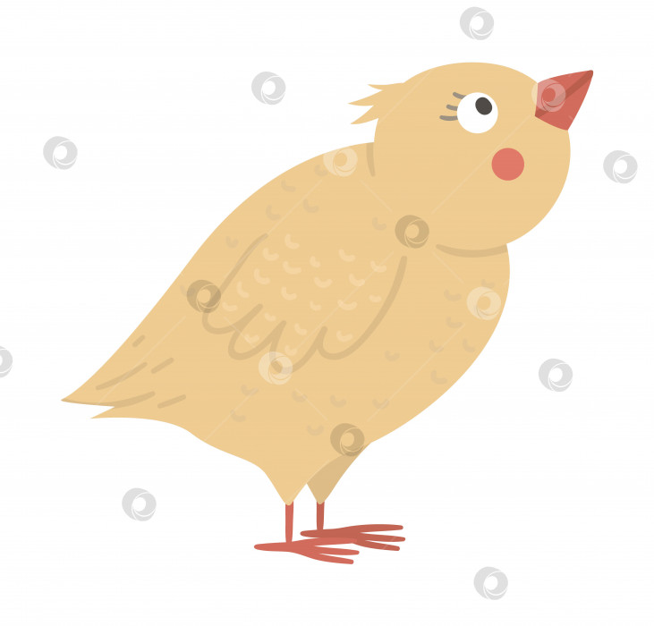 Скачать Векторный забавный цыпленок, изолированный на белом фоне. Забавная иллюстрация весны, Пасхи или фермы. Значок милой птички фотосток Ozero