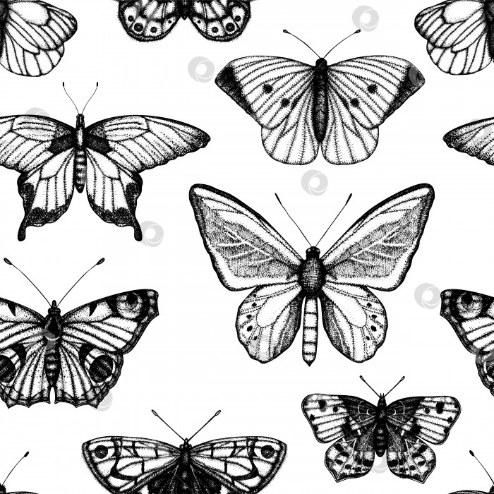 Скачать Векторный бесшовный узор из нарисованных от руки черных и белых бабочек. Гравюра с ретро-иллюстрацией. Повторяющийся фон с реалистичным насекомым. Детальный графический рисунок в винтажном стиле фотосток Ozero