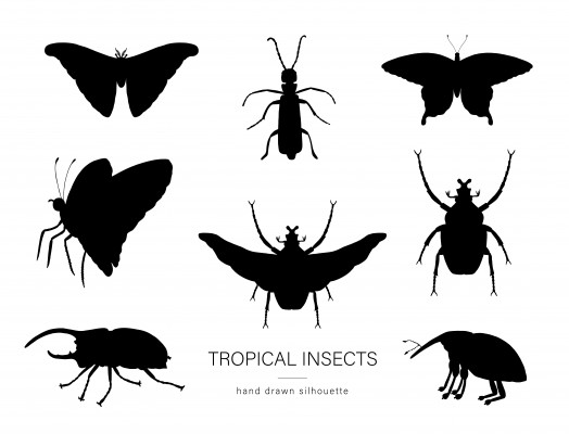 [object Object] undefined