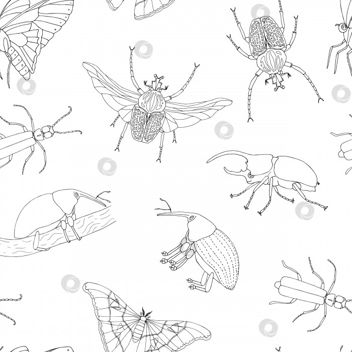 Скачать Векторный бесшовный узор из тропических насекомых. Повторите фон нарисованных от руки очертаний атласного мотылька, долгоносика, бабочки, голиафа, жука-геркулеса, шпанской мушки. Симпатичное украшение из тропических жуков фотосток Ozero
