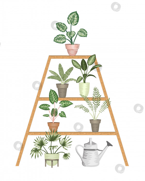 Скачать Векторная иллюстрация тропических комнатных растений в горшках на подставке, изолированных на белом фоне. Яркая реалистичная монстера, алоказия, диффенбахия, кордилайн. Элементы дизайна для украшения дома фотосток Ozero