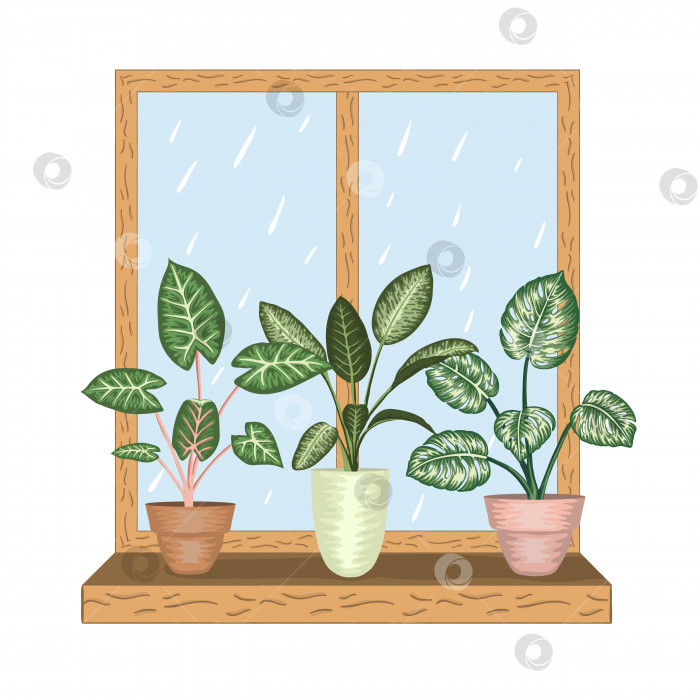 Скачать Окно с тропическими комнатными растениями в горшках. Вид на дождливую погоду. Акварельный стиль. фотосток Ozero