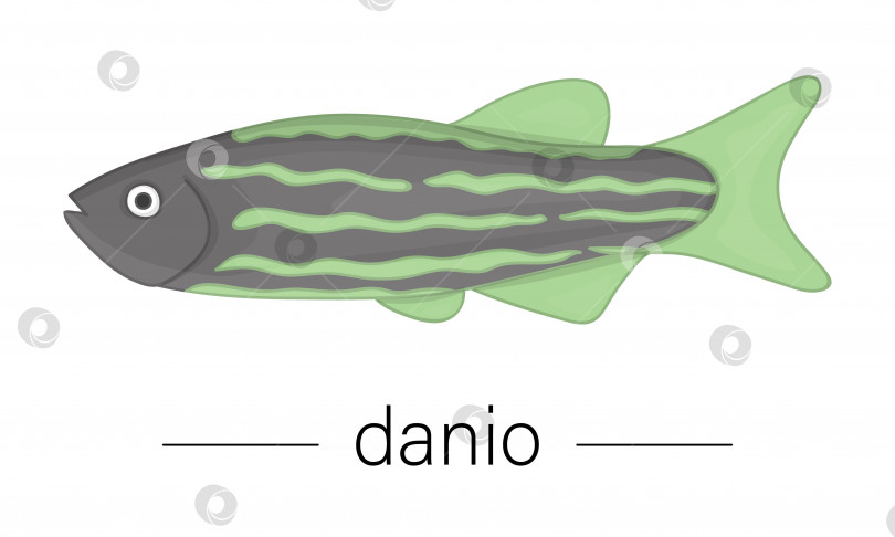 Скачать Векторная цветная иллюстрация аквариумных рыбок. Симпатичная картинка Данио для зоомагазинов или детской иллюстрации фотосток Ozero