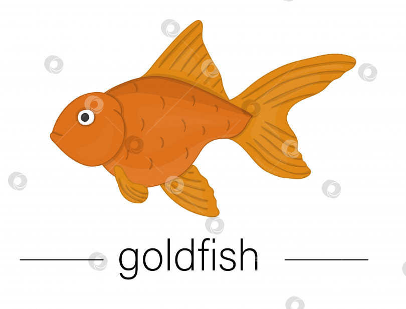 Скачать Векторная цветная иллюстрация аквариумных рыбок. Симпатичная картинка с золотой рыбкой для зоомагазинов или детской иллюстрации фотосток Ozero