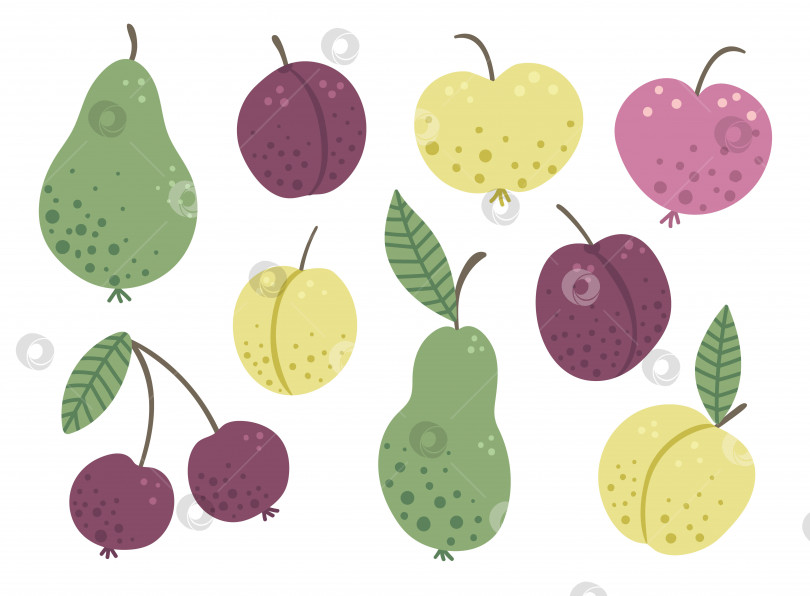 Скачать Векторный набор забавных нарисованных от руки плоских садовых фруктов и ягод. Цветные яблоки, груши, сливы, персики, вишни, выделенные на белом фоне. Картинка на тему урожая для детского дизайна. фотосток Ozero