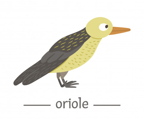 [object Object] undefined
