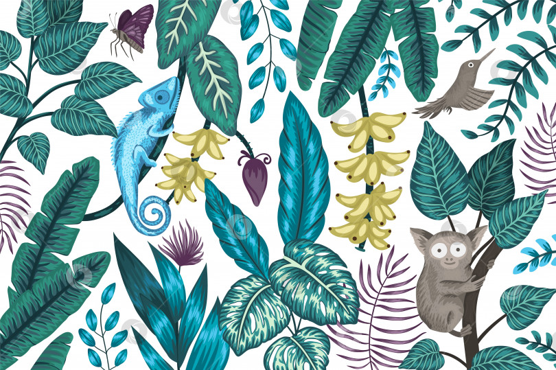 Скачать Векторный фон с тропическими растениями, насекомыми и животными. Иллюстрация экзотических джунглей с хамелеоном, долгопятом, райской птицей, бабочкой, бананами. фотосток Ozero