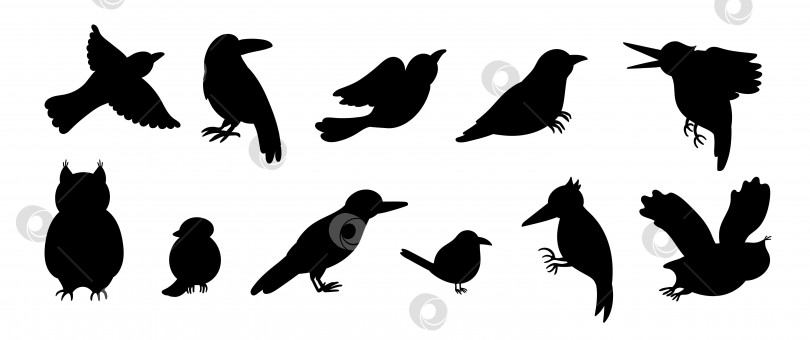 Скачать Векторный набор нарисованных от руки плоских забавных силуэтов кукушек, дятлов, сов, ворон, крапивников в мультяшном стиле. Симпатичная черно-белая иллюстрация лесных птиц для детского дизайна. фотосток Ozero