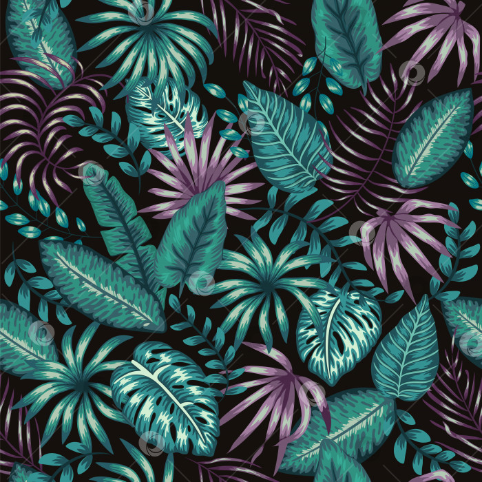 Скачать Векторный бесшовный узор из тропической зеленой и фиолетовой листвы на черном фоне. Летом или весной повторите винтажный тропический фон с монстерой, диффенбахией, листьями пальмы. Экзотический орнамент из джунглей. фотосток Ozero
