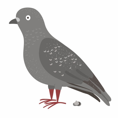 [object Object] undefined