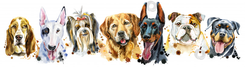 Скачать Бордюр из акварельных портретов собак для украшения фотосток Ozero