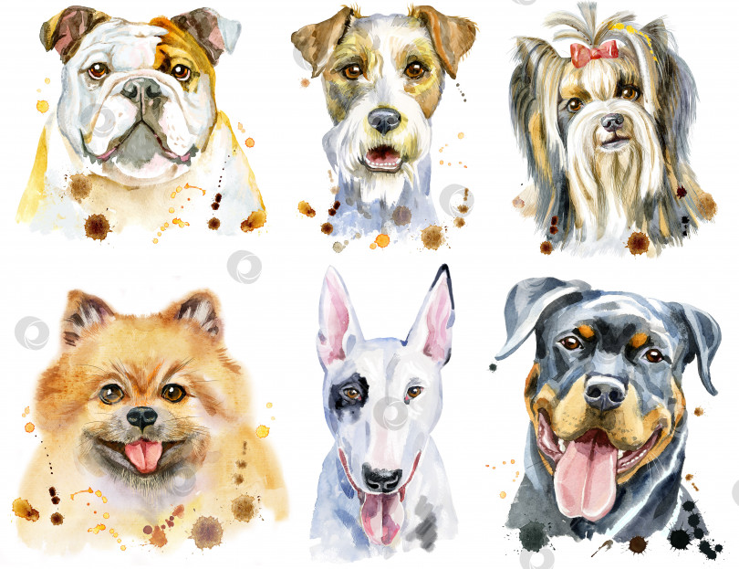 Скачать Набор акварельных портретов собак для украшения фотосток Ozero