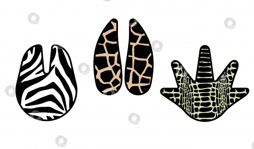 Скачать Набор отпечатков лап: зебры, крокодила и жирафа. Модный животный принт. Модная векторная иллюстрация для печати. фотосток Ozero