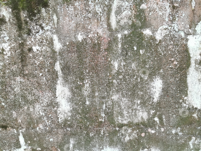 Скачать Гранжевая текстура - это старая серая бетонная стена. фотосток Ozero