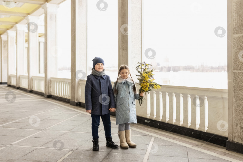 Скачать Портрет пары мальчика и девочки школьников в весенних пальто с букетом мимозы в руках в парке. Весна, Международный женский день 8 марта. фотосток Ozero