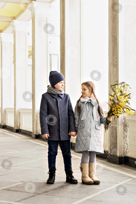 Скачать Портрет пары мальчика и девочки школьников в весенних пальто с букетом мимозы в руках в парке. Весна, Международный женский день 8 марта. фотосток Ozero