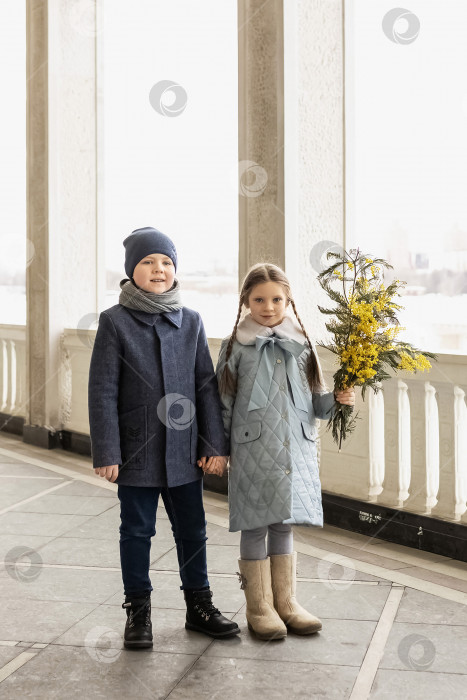 Скачать Портрет пары мальчика и девочки школьников в весенних пальто с букетом мимозы в руках в парке. Весна, Международный женский день 8 марта. фотосток Ozero
