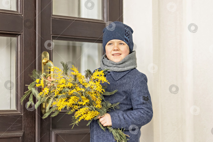 Скачать Портрет мальчика в синем пальто с букетом мимозы в руках в парке. Весна, Международный женский день 8 марта. фотосток Ozero