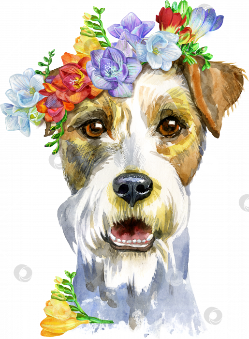 Скачать Акварельный портрет собаки породы эрдельтерьер с цветами фотосток Ozero