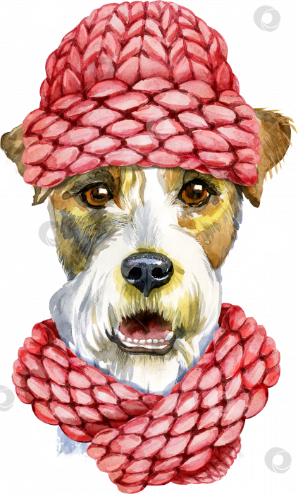 Скачать Акварельный портрет собаки породы эрдельтерьер в розовой вязаной шапочке фотосток Ozero