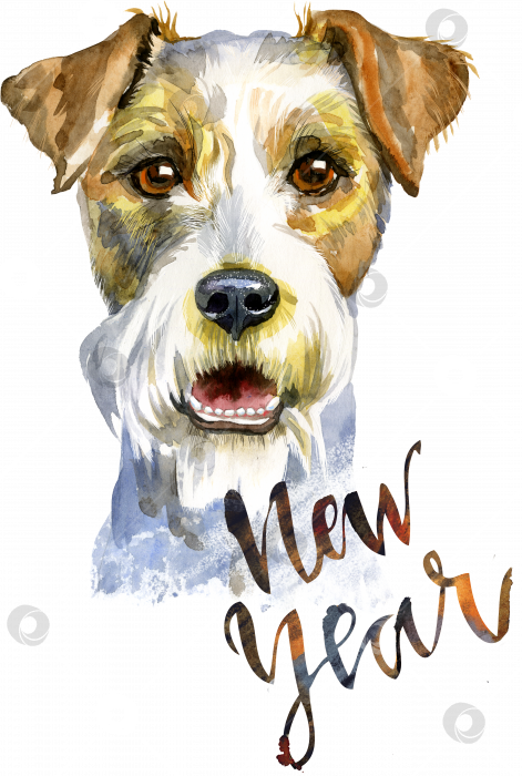 Скачать Акварельный портрет собаки породы эрдельтерьер фотосток Ozero