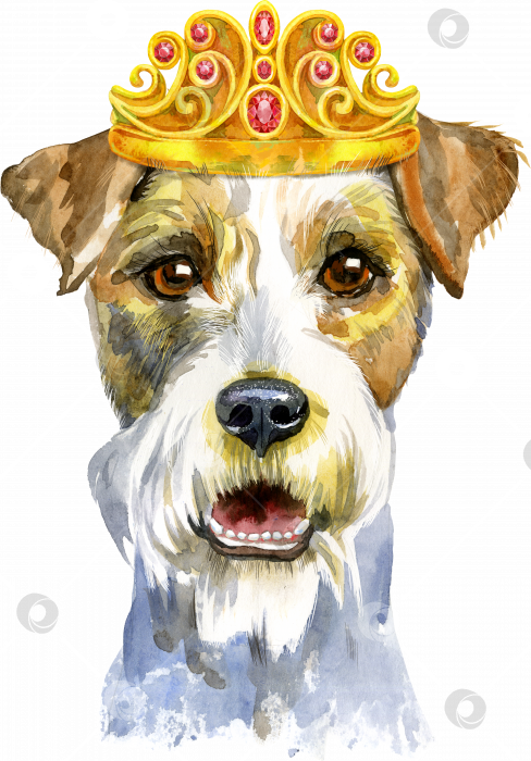 Скачать Акварельный портрет собаки породы эрдельтерьер с короной фотосток Ozero
