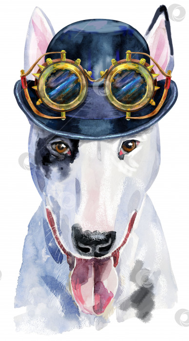 Скачать Акварельный портрет бультерьера в шляпе-котелке и очках в стиле стимпанк фотосток Ozero