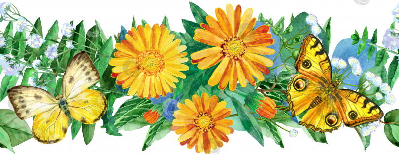 Скачать Бесшовная цветочная кайма с желтой бабочкой и цветами календулы на белом фоне фотосток Ozero