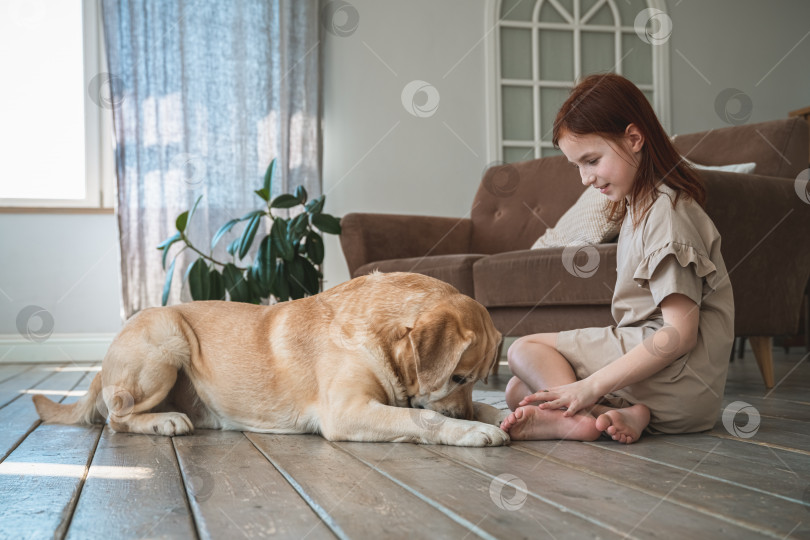 Скачать Симпатичная девушка дрессирует собаку лабрадора дома фотосток Ozero