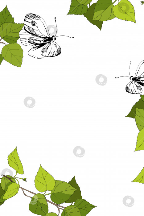 Скачать Стильная поздравительная открытка, зеленая ветка березы с молодыми листьями, белая бабочка, мультяшный рисунок, побег с листвой. Черный белый изолирован. Векторная иллюстрация на тему весны, летнего сезона фотосток Ozero