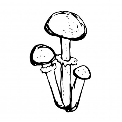 [object Object] undefined